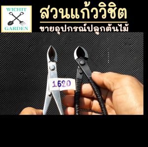 บริเวณ 7.2 นิ้ว คีมหัวปลาหลด สแตนเลส อุปกรณ์บอนไซ ไม่เป็นสนิม