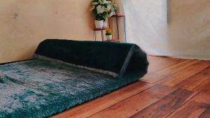 Karpet Bulu Rasfur Ruang Tamu 160x160 cm Aestetik Super LP