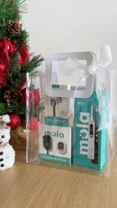 Mola Reusable Christmas Gift Bag