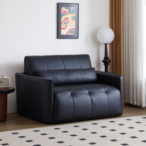 Cozylant Coach Electric Sofa / Sofa Bed for Living Room / Black White / Foldable Sofa for Study Room / Electric Sofa Recliner /Day Bed