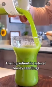 Barley grass powder organic Healthy Navitas pure barley powder for lose weight body detox diett Serbuk rumput barli organik Sihat Navitas serbuk barli tulen untuk menurunkan berat badan detoks badan diett 大麦草粉有机健康纳维纯大麦粉减肥排毒饮食