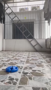 Bộ tự tập Pickleball tại nhà dành cho mọi trình độ.