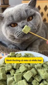 Ức Gà Viên Sấy Mix Cỏ Mèo Giúp Tiêu Búi Lông Giảm Stress Cho Mèo