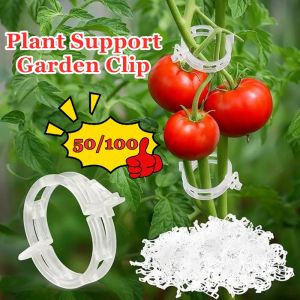 50/100 Pcs Plastic Plant Clip For Tomato Reusable Grafting Fixing Tool Hanging Trellis Vine Connects Plant Clip/Reusable Garden Fixing Clips/Plastic Plant Clips/Protection Grafting Fixing