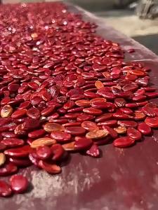 Extra Large Roasted Sunflower Seeds Five Spice Flavor