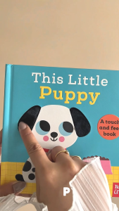 หนังสือผิวสัมผัส Nosy Crow - This Little... Book Series