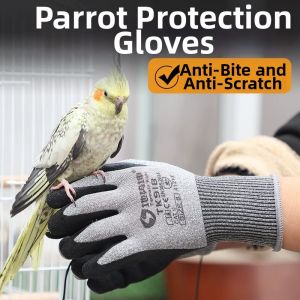 Terrain Kun | Bite-Proof Smell-Preventive Breathable Training Gloves For Parrots