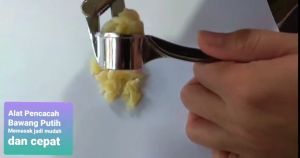 Alat Pencacah Penghancur Penghalus Bawang Putih Garlic Press Stainless Stell