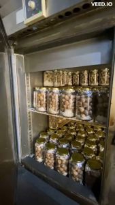 Black Garlic Bawang Putih Hitam Tunggal Lanang Jumbo Premium Alamme 220 Gram Obat Herbal Alami Peningkat Daya Tahan Tubuh Imunitas Atasi Alergi Kulit Stroke Serangan Jantung Penurun Darah Tinggi Kolesterol Asli Halal