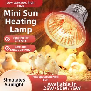 WEVOLA | Chick Rearing Heating Lamp Winter Use