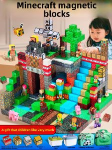 Feiyu | Educational Magnetic Building Blocks