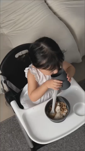 PlayPark Portable Foldable Baby High Chair Aluminum Legs Lightweight Booster Seat for Baby Dining Feeding Travel Chair