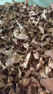 Lengkuas Iris Kering / Laos Iris Kering Kualitas Premium