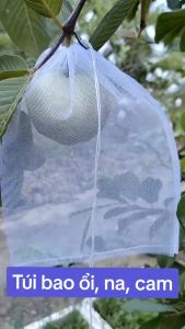100 cái 20x25cm TÚI LƯỚI TỐT BAO BỌC TRÁI CAM LÊ NA VÚ SỮA.... - TÚI BAO TRÁI CÂY