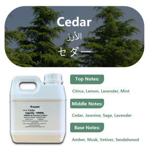ESAEON Oily Aromatic Essential Oil For Reed Diffusers & Flameless Aroma & Vine Diffuser Miss Coco/Hilton - 1000ML (33.8 fl.oz)
