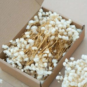 ดอกไม้แห้ง 50 ชิ้น ช่อดอกไม้หอมระเหย กลิ่นสตาร์รี่สกาย สำหรับตกแต่งงานปาร์ตี้ แจกันขนาดเล็ก บรรจุภัณฑ์ขนาดเล็ก ของขวัญตกแต่ง