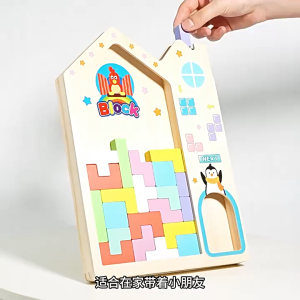 Kids 3D tetris Puzzle Geometric Shape Montessori IQ Teaser Blocks Board Game Educational Toys