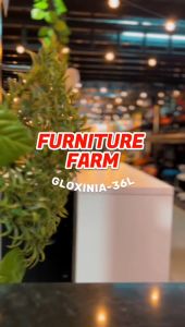 F&F : GLOXINIA Multipurpose Storage Box/ storage box organizer/ cabinet storage/toy storage basket