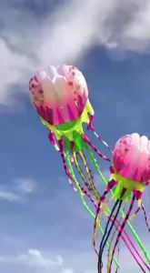 10m Jellyfish Kite for adults ray kite surf board vliegers voor volwassenen cometa gel blaster glowing nylon Novelty fabric