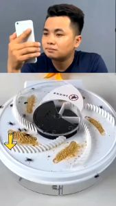 Máy Bắt Ruồi  Tự động Thiết Kế Thông Minh Chạy Điện An Toàn Không Độc Hại Dễ Dàng Sử Dụng