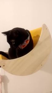 Cute Moon Cat House Creative Star Cat Wall Shelf  Sleeping Nest Wall Mount Cat Bed Perch Pet Supplies Cat Accessories