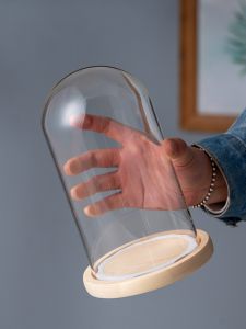 Hộp Trưng Bày Đồ Chơi Hình Quả Bóng Thủy Tinh Phong Cách Hiện Đại Đơn Giản Hộp Trưng Bày Mẫu Bướm Hộp Đựng Hoa Thủy Tinh Hộp Đựng Đồ Chơi