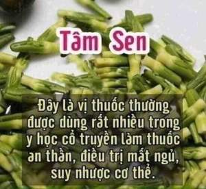 Tâm sen cho người mất ngủ