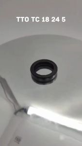 Seal Tc 18 24 5 TTO INB Original TTO