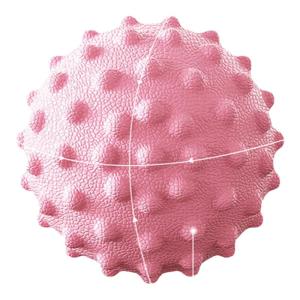 Xzito | Yoga Massage Ball for Muscle Relaxation and Neck Foot Massage