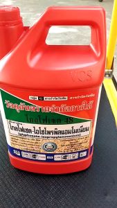48 ชนิด ไกรโฟเซต ที่ 4 ลิตร หวีทอง ระวังปลอม ดูดซึม สูตร หญ้ายันที่ 1 ใบแข็งหน้า ใบกว้าง กก รอบบ้าน สวน