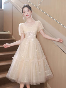 French Style Small Size Evening Gown Womens Party Hostess Adult Birthday Luxury Lightweight High End Princess Ball Gown