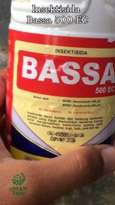 INSEKTISIDA KONTAK BASSA 500 EC KEMASAN 500 ML Obat Pencegah Pembasmi Hama Tanaman