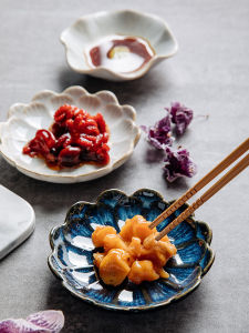 Japanese Style Ceramic Sauce Dish Small Appetizer Plate Restaurant Quality Glazed under Colorful Design Commercially Used Dish