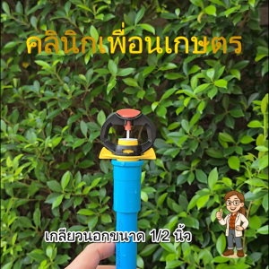 สปริงเกอร์กันแมลง 1/2 นิ้ว รหัสสินค้า 318-A สปริงเกอร์รดน้ำต้นไม้ สินค้าพร้อมส่ง