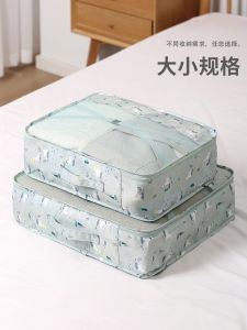 Travel Clothes Storage Bag down Jacket Underwear Subpackage Bag Luggage Box Clothes Shoes Organizer Bag Portable Design
