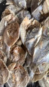 Ikan Asin Ketambak Ikan Laut Kering Lencam Ikan Kering asin Ketambak Super