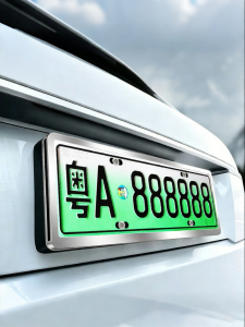 MIAOYUNJU | Car License Plate Cover For Leapmotor Blue And Green Plates