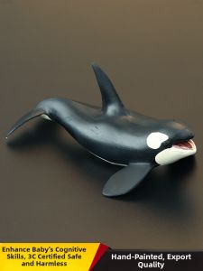 MENGSILE | Educational Realistic Whale Toy