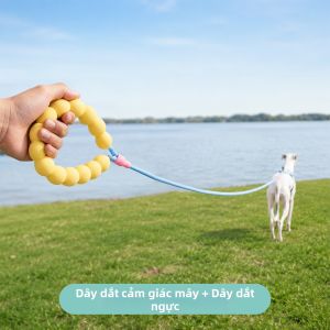 MIKI PAD | Áo Dây Dẫn Cho Chó Lớn Thông Gió Chống Ngạt