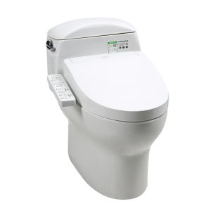 Instant Heating Warm Air Drying Odor Removal Heated Toilet