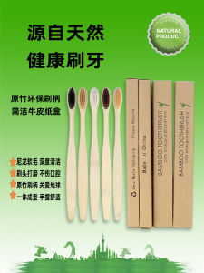 Natural Bamboo Toothbrushes Soft Bristles Eco-Friendly Paper Box Pack of 10 for Adults Dental Care Hotel And Homestay