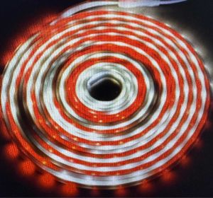 LAMPU LED STRIP RGB 2835 WARNA WARNI IP44 5M DAN 10M AC 220V + ADAPTOR ( LAMPU SELANG 2835 RGB DAN MERAH PUTIH ) - 220V