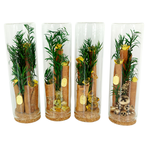 DIY Wealth Attraction Ornament Cinnamon Scenic Spot Office Position Transformation Sealed Office Entrance Dustproof Wish Bottle