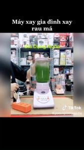 Máy xay sinh tố LADOMAX HA-9166-3 -Máy có 5 chế độ xay và 4Cấp Nhồi-Máy Có 3Cối Thuỷ Tính -Máy chạy 100% Mô Tơ Đồng tự ngắt khi quá tải