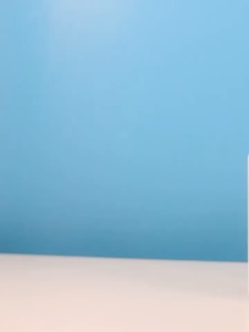 Pet Shampoo Cleansing Dry Powder No Rinse Just Rub Odor Removing Dog &Cat Shampoo Odor Deodorizer 260g/Bottle