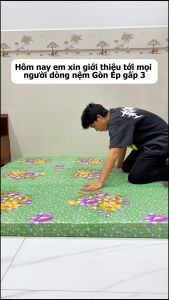 Nệm Sinh Viên Giá Rẻ Bông Ép Gòn Ép Gấp 3 bền chắc chắc bền Nhiều Kích Thước