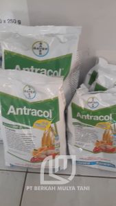 Fungisida Antracol 70 WP + Zinc  1 Kg / 500gr / 250gr Original Asli Bayer