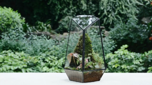 Glass Terrarium Box Succulent Flower Room Container Glass Geometric Micro View Tank