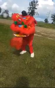 เชือกให้กระพริบตา หัวสิงโตเด็ก 7+ กระพริบตา สามารถดึง หัวสีเขียว -ขนสีขาว เสริมความสวยคุย หัวสิงโตเด็ก นอนเที่ยว ฟื้นฟู สำหรับเด็ก