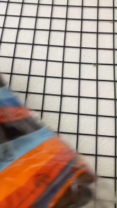 .กางเกงขาสั้นเด็ก JJ ของแท้ ยกโหล 12 ตัว ราคาถูกสุด ไซซ์ 2L-4L(KJJ2)